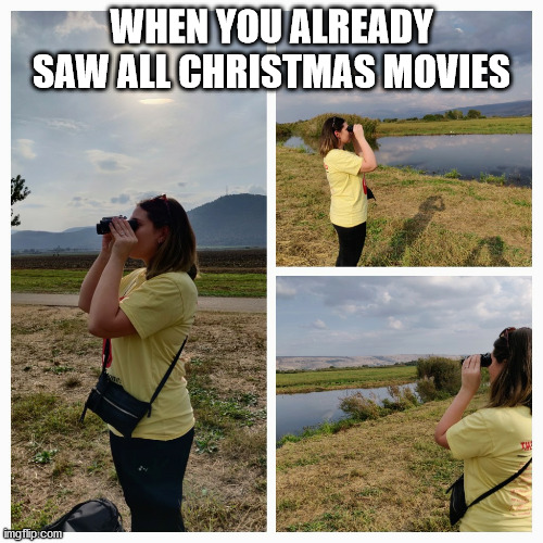No more christmas content | WHEN YOU ALREADY SAW ALL CHRISTMAS MOVIES | image tagged in christmas,searching,ever searching | made w/ Imgflip meme maker
