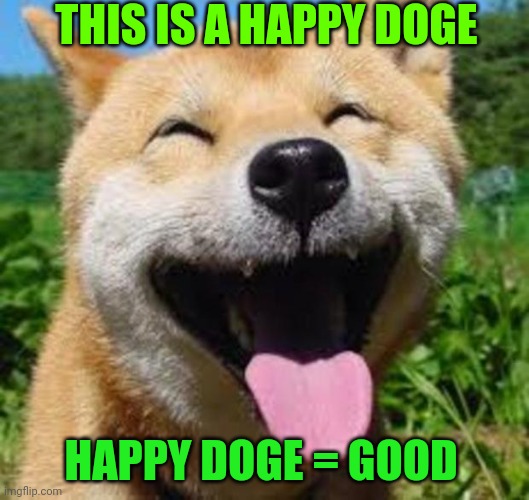 Happy doge want you to have a great time | THIS IS A HAPPY DOGE; HAPPY DOGE = GOOD | image tagged in happy doge | made w/ Imgflip meme maker