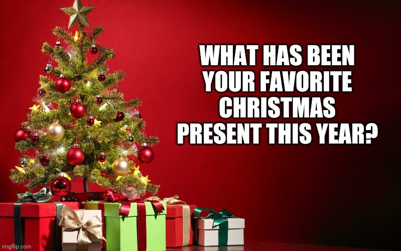 Mine was a pair of wooden swords my dad helped me make. | WHAT HAS BEEN YOUR FAVORITE CHRISTMAS PRESENT THIS YEAR? | image tagged in christmas present | made w/ Imgflip meme maker