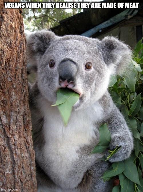 Surprised Koala Meme | VEGANS WHEN THEY REALISE THEY ARE MADE OF MEAT | image tagged in memes,surprised koala | made w/ Imgflip meme maker