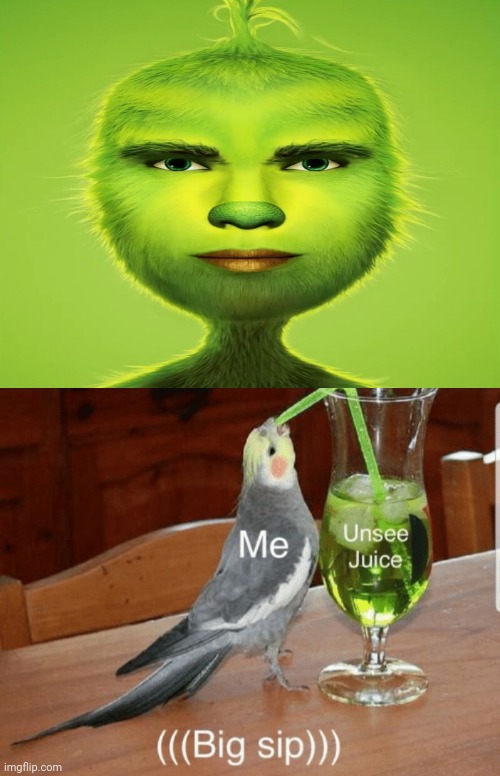 Cursed image: The Grinch | image tagged in unsee juice,cursed image,the grinch,memes,funny,merry christmas | made w/ Imgflip meme maker