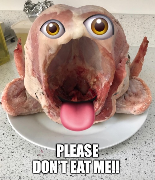 Turkeys have feelings | PLEASE DON’T EAT ME!! | image tagged in turkey,christmas,emotions,funny,funny memes,thanksgiving dinner | made w/ Imgflip meme maker
