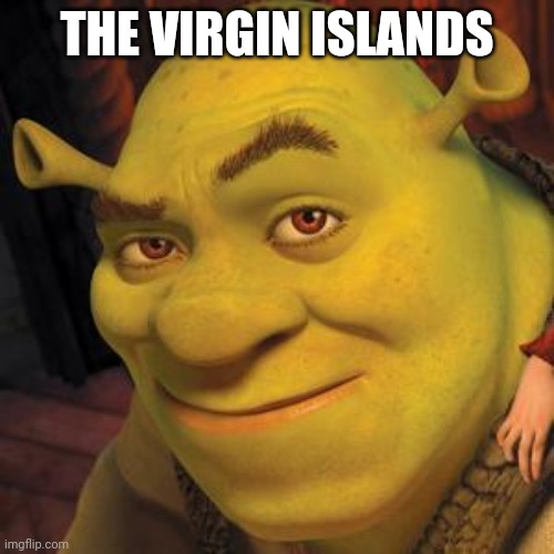 Shrek Sexy Face | THE VIRGIN ISLANDS | image tagged in shrek sexy face | made w/ Imgflip meme maker