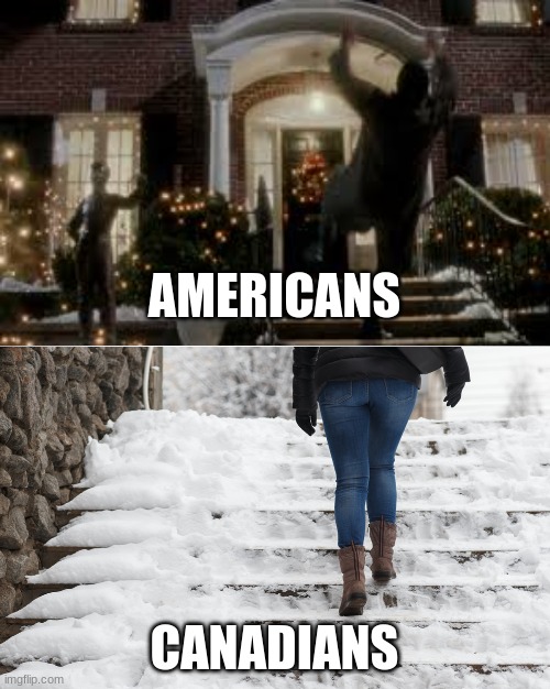 Ice | AMERICANS; CANADIANS | image tagged in americans,canadians | made w/ Imgflip meme maker