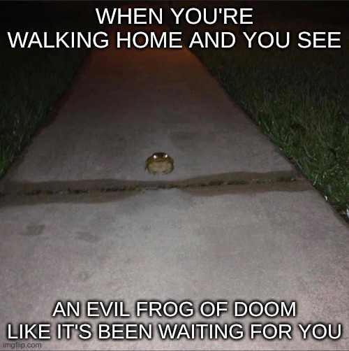 Evil Frog | WHEN YOU'RE WALKING HOME AND YOU SEE; AN EVIL FROG OF DOOM LIKE IT'S BEEN WAITING FOR YOU | image tagged in lol,lol so funny,frog | made w/ Imgflip meme maker