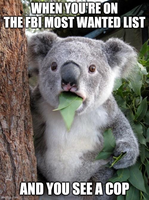 Surprised Koala | WHEN YOU'RE ON THE FBI MOST WANTED LIST; AND YOU SEE A COP | image tagged in memes,surprised koala | made w/ Imgflip meme maker