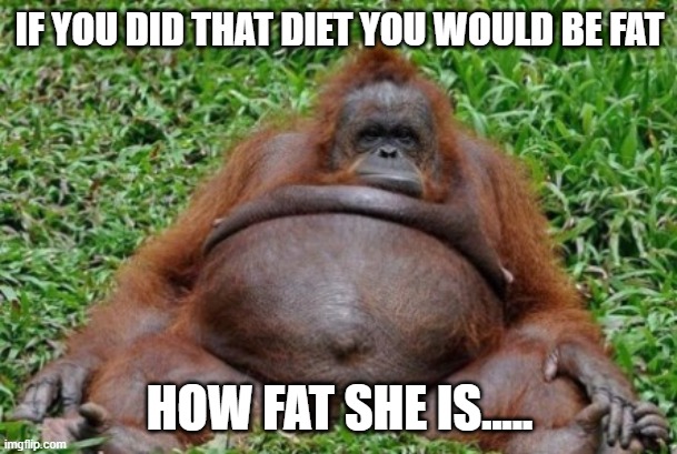 Fat apes | IF YOU DID THAT DIET YOU WOULD BE FAT HOW FAT SHE IS..... | image tagged in fat apes | made w/ Imgflip meme maker