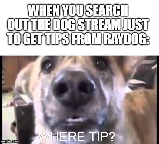 Please anyone can give me tip. I would love that :) | WHEN YOU SEARCH OUT THE DOG STREAM JUST TO GET TIPS FROM RAYDOG:; WHERE TIP? | image tagged in dogs,tips,raydog | made w/ Imgflip meme maker