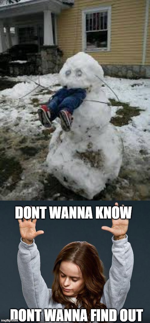 What the heck IS THAT | DONT WANNA KNOW; DONT WANNA FIND OUT | image tagged in snow man attack,praise the lord | made w/ Imgflip meme maker