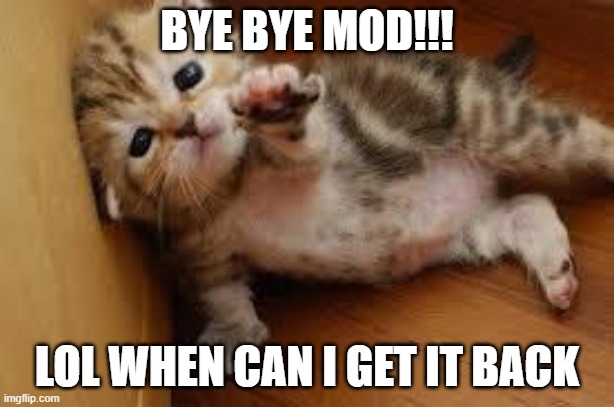 Sad Kitten Goodbye | BYE BYE MOD!!! LOL WHEN CAN I GET IT BACK | image tagged in sad kitten goodbye | made w/ Imgflip meme maker