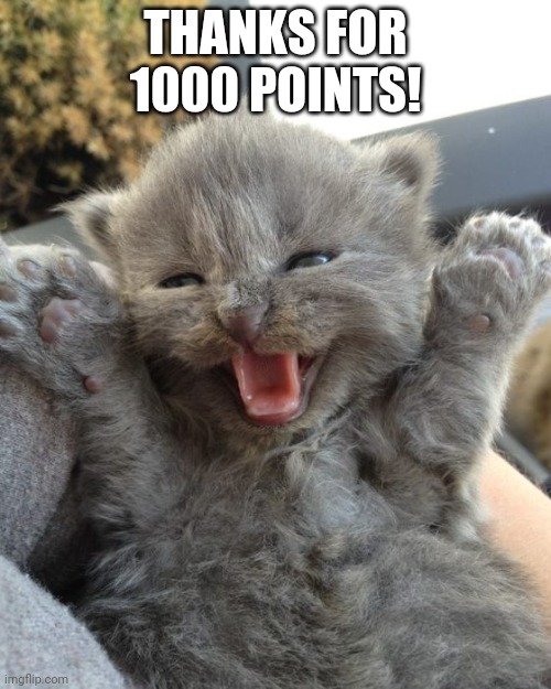 Thanks | THANKS FOR 1000 POINTS! | image tagged in yay kitty | made w/ Imgflip meme maker