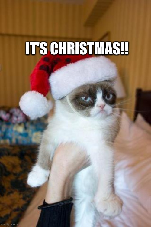 Yaey | IT'S CHRISTMAS!! | image tagged in memes,grumpy cat christmas,grumpy cat | made w/ Imgflip meme maker