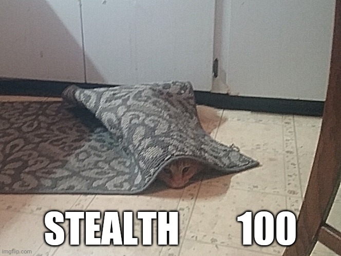 stealthycatleo | STEALTH        100 | image tagged in cat,skyrim,stealth | made w/ Imgflip meme maker