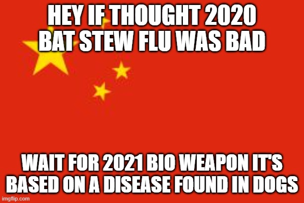 Chinese flag | HEY IF THOUGHT 2020 BAT STEW FLU WAS BAD; WAIT FOR 2021 BIO WEAPON IT'S BASED ON A DISEASE FOUND IN DOGS | image tagged in chinese flag | made w/ Imgflip meme maker