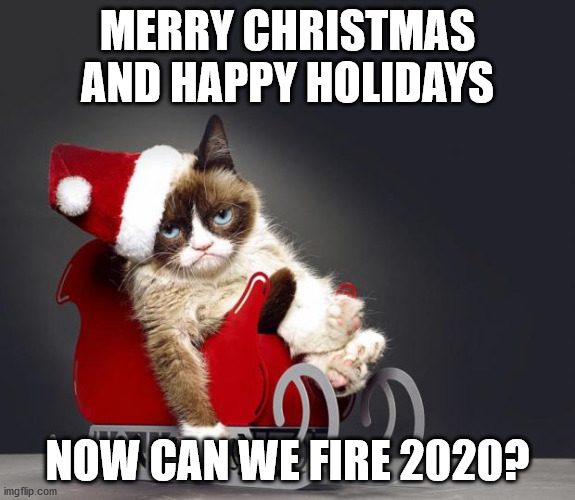 Grumpy Cat Christmas HD |  MERRY CHRISTMAS AND HAPPY HOLIDAYS; NOW CAN WE FIRE 2020? | image tagged in grumpy cat christmas hd | made w/ Imgflip meme maker