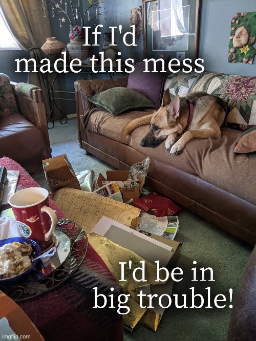 Xmas Morning Dog | If I'd made this mess; I'd be in big trouble! | image tagged in xmas mess | made w/ Imgflip meme maker