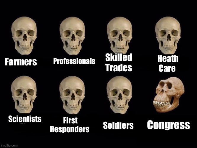 Congress is proof of reverse evolution | Professionals; Farmers; Heath
Care; Skilled 
Trades; Scientists; First
Responders; Congress; Soldiers | image tagged in empty skulls of truth,political meme,congress,memes,sonic derp | made w/ Imgflip meme maker