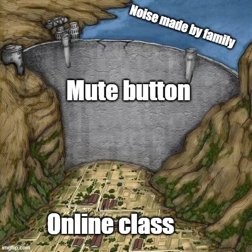 Online class noises | Noise made by family; Mute button; Online class | image tagged in water dam meme,online class,2020,noise | made w/ Imgflip meme maker