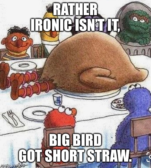 Big bird | RATHER IRONIC ISN’T IT, BIG BIRD GOT SHORT STRAW. | image tagged in funny memes | made w/ Imgflip meme maker