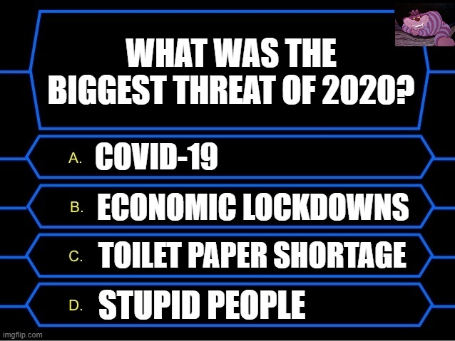 I am going with "D" | WHAT WAS THE BIGGEST THREAT OF 2020? COVID-19; ECONOMIC LOCKDOWNS; TOILET PAPER SHORTAGE; STUPID PEOPLE | image tagged in who wants to be a millionaire question | made w/ Imgflip meme maker