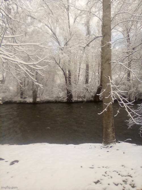 Good evening from Tennessee! | image tagged in tennessee,snow,pictures,trees,river | made w/ Imgflip meme maker