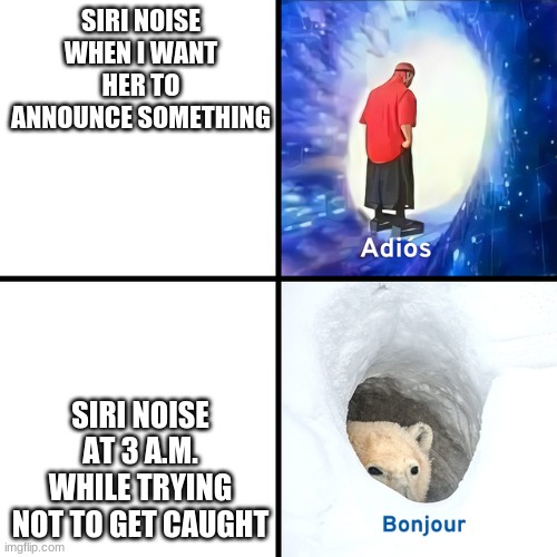 Adios Bonjour | SIRI NOISE WHEN I WANT HER TO ANNOUNCE SOMETHING; SIRI NOISE AT 3 A.M. WHILE TRYING NOT TO GET CAUGHT | image tagged in adios bonjour | made w/ Imgflip meme maker