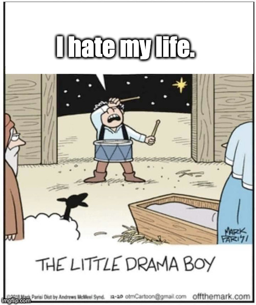 drama boy | I hate my life. | image tagged in drama | made w/ Imgflip meme maker