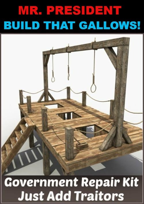 Mr. President, Build that gallows! | image tagged in gallows,crush the commies,hanging out,hanging,sedition,treason | made w/ Imgflip meme maker