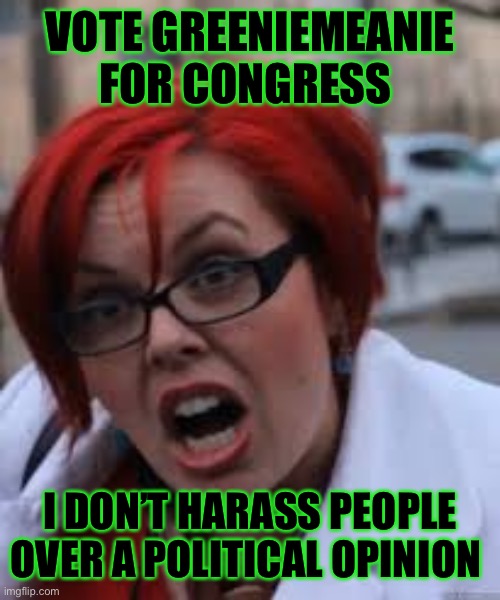 A Certain Someone | VOTE GREENIEMEANIE FOR CONGRESS; I DON’T HARASS PEOPLE OVER A POLITICAL OPINION | image tagged in sjw triggered,vote,greeniemeanie,greengang | made w/ Imgflip meme maker
