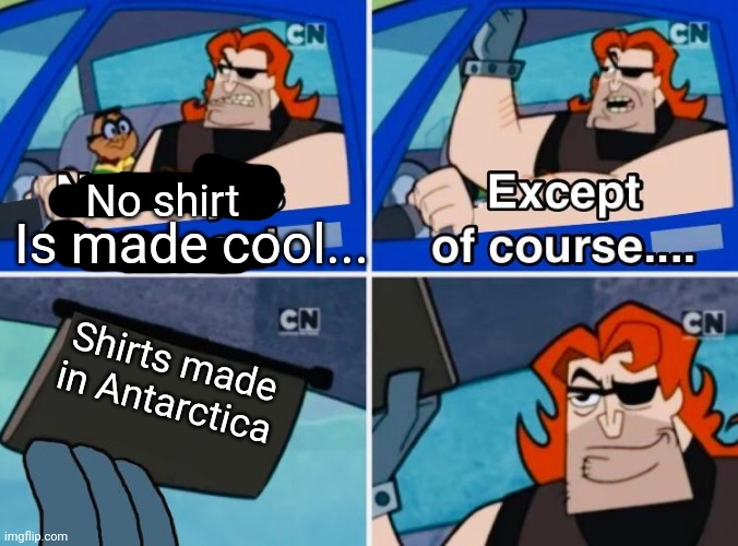 Nobody is born cool | Shirts made in Antarctica No shirt Is made cool... | image tagged in nobody is born cool | made w/ Imgflip meme maker