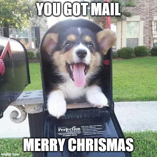 YOU GOT MAIL MERRY CHRISMAS | image tagged in cute doggo in mailbox | made w/ Imgflip meme maker