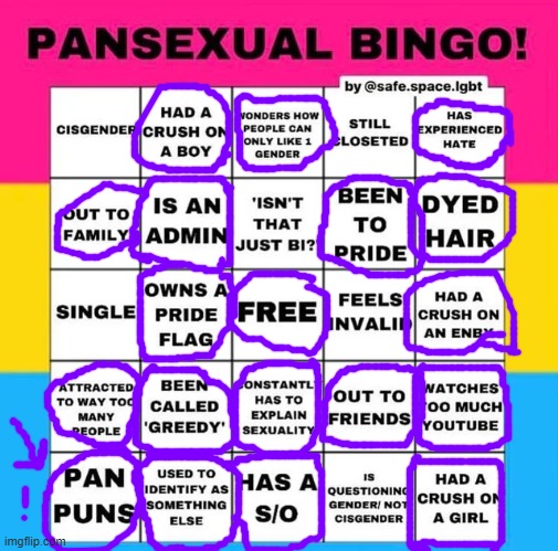 Huh, Pretty cool | image tagged in pansexual bingo,bingo | made w/ Imgflip meme maker