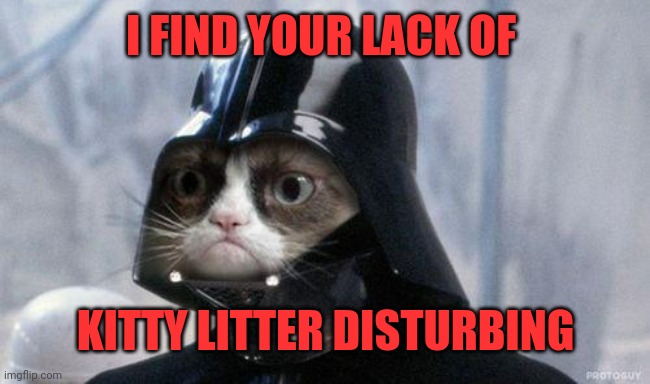 Grumpy Cat Star Wars Meme | I FIND YOUR LACK OF KITTY LITTER DISTURBING | image tagged in memes,grumpy cat star wars,grumpy cat | made w/ Imgflip meme maker