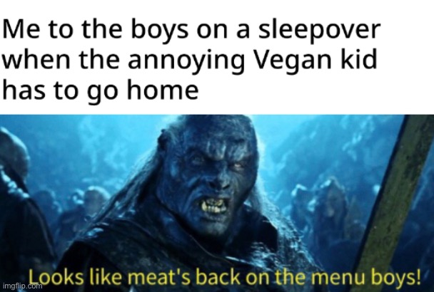 E | image tagged in lord of the rings,vegan | made w/ Imgflip meme maker