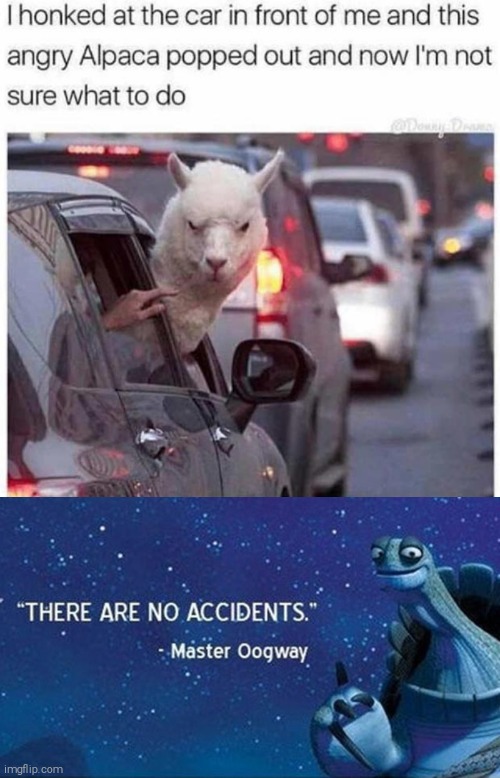 This is stupid | image tagged in there are no accidents,hey alpaca,fuck you,i hate you,so much,you must die | made w/ Imgflip meme maker