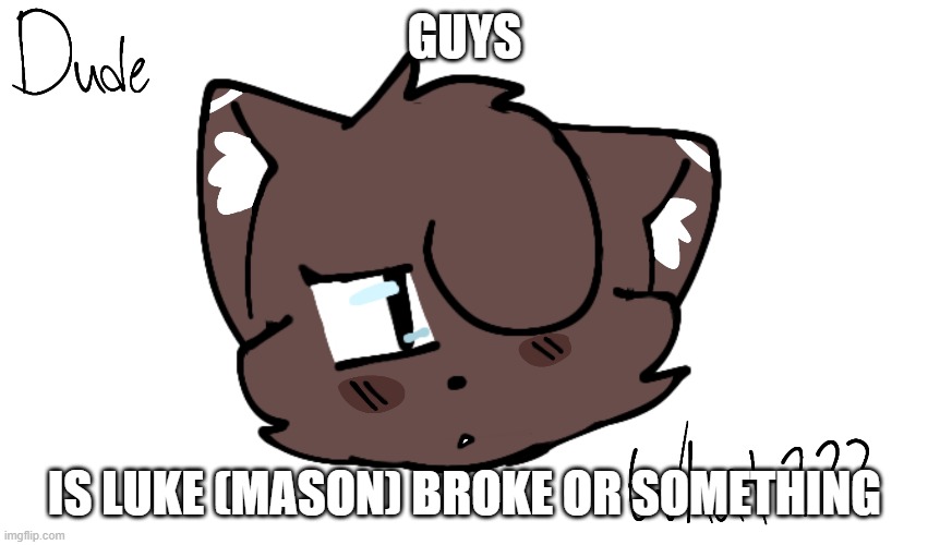 Somethings not right | GUYS; IS LUKE (MASON) BROKE OR SOMETHING | image tagged in bruh | made w/ Imgflip meme maker