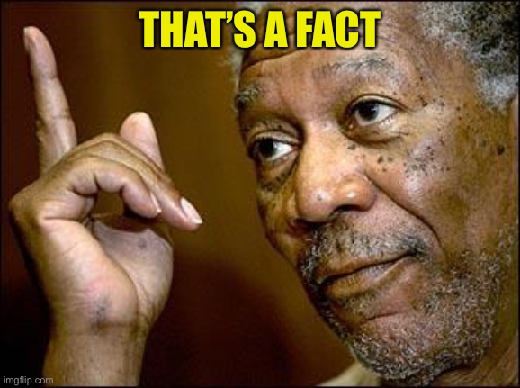 This Morgan Freeman | THAT’S A FACT | image tagged in this morgan freeman | made w/ Imgflip meme maker