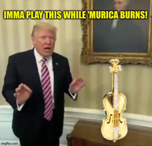 Just like Nero | IMMA PLAY THIS WHILE 'MURICA BURNS! | image tagged in trump fiddle | made w/ Imgflip meme maker