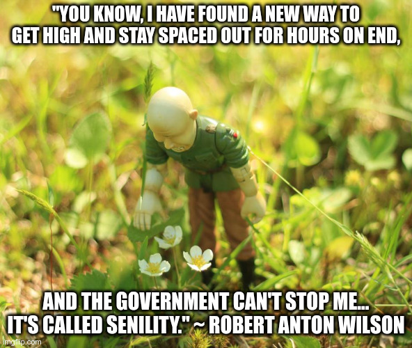 They can't stop me |  "YOU KNOW, I HAVE FOUND A NEW WAY TO GET HIGH AND STAY SPACED OUT FOR HOURS ON END, AND THE GOVERNMENT CAN'T STOP ME... IT'S CALLED SENILITY." ~ ROBERT ANTON WILSON | image tagged in funny,funny meme,cyclops,garden,high | made w/ Imgflip meme maker