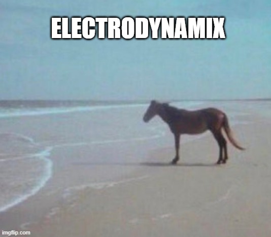 Electrodynamix | ELECTRODYNAMIX | image tagged in man horse water | made w/ Imgflip meme maker