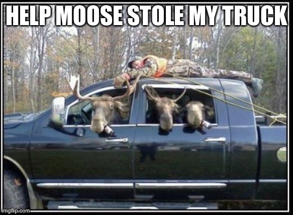 help | HELP MOOSE STOLE MY TRUCK | image tagged in in soviet russia mooses | made w/ Imgflip meme maker
