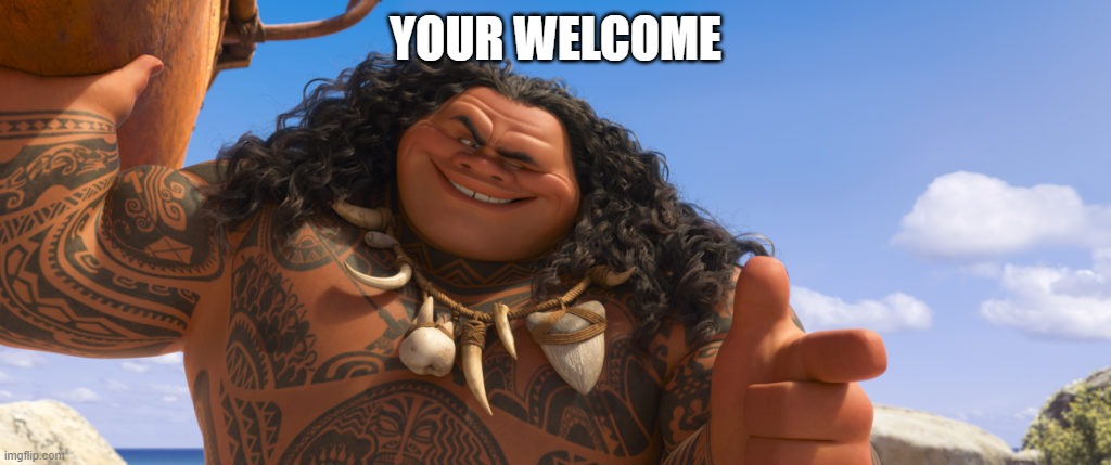 YOUR WELCOME | image tagged in maui youre welcome | made w/ Imgflip meme maker