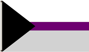 Demisexual Flag Blank Meme Template