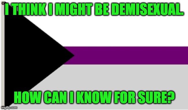 Plz help in the comments. | I THINK I MIGHT BE DEMISEXUAL. HOW CAN I KNOW FOR SURE? | image tagged in demisexual flag | made w/ Imgflip meme maker