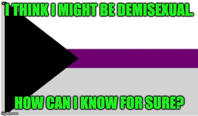 Please help in the comments. | I THINK I MIGHT BE DEMISEXUAL. HOW CAN I KNOW FOR SURE? | image tagged in demisexual flag | made w/ Imgflip meme maker