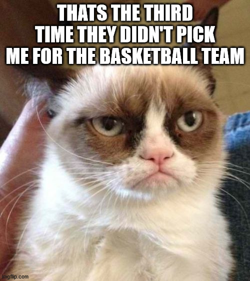 Grumpy Cat Reverse | THATS THE THIRD TIME THEY DIDN'T PICK ME FOR THE BASKETBALL TEAM | image tagged in memes,grumpy cat reverse,grumpy cat | made w/ Imgflip meme maker