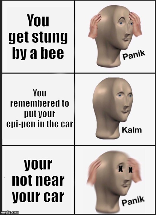 Panik Kalm Panik | You get stung by a bee; You remembered to put your epi-pen in the car; your not near your car; x; x | image tagged in memes,panik kalm panik | made w/ Imgflip meme maker