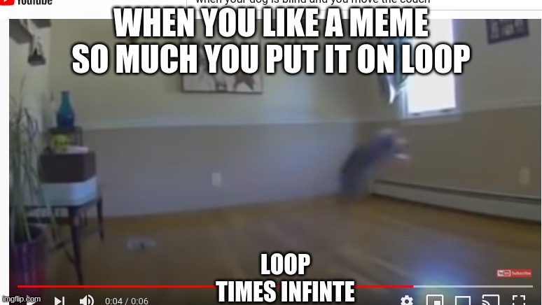 lol my meme | WHEN YOU LIKE A MEME SO MUCH YOU PUT IT ON LOOP; LOOP TIMES INFINTE | image tagged in funny dogs,youtube | made w/ Imgflip meme maker