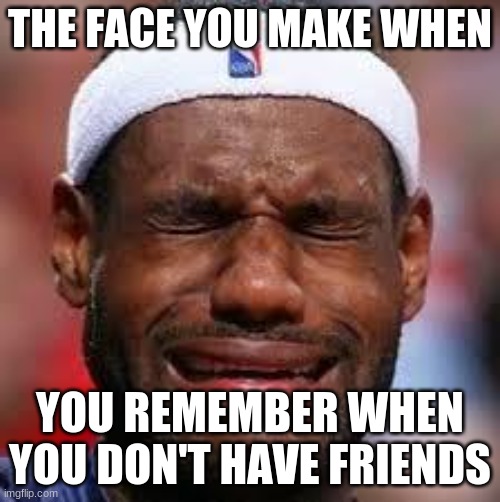 lol | THE FACE YOU MAKE WHEN; YOU REMEMBER WHEN YOU DON'T HAVE FRIENDS | image tagged in nba | made w/ Imgflip meme maker