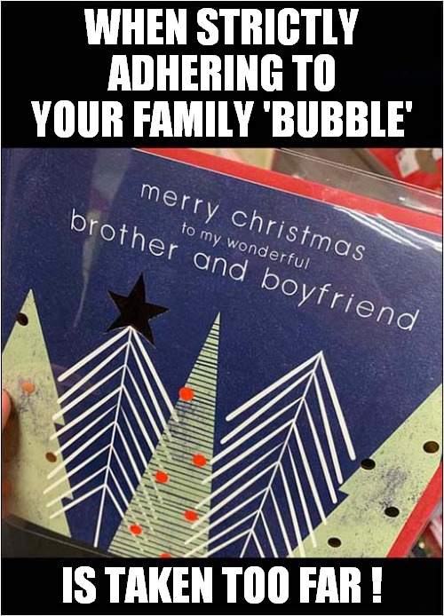 Keeping It In The Family ? | WHEN STRICTLY ADHERING TO YOUR FAMILY 'BUBBLE'; IS TAKEN TOO FAR ! | image tagged in fun,merry christmas,cards | made w/ Imgflip meme maker
